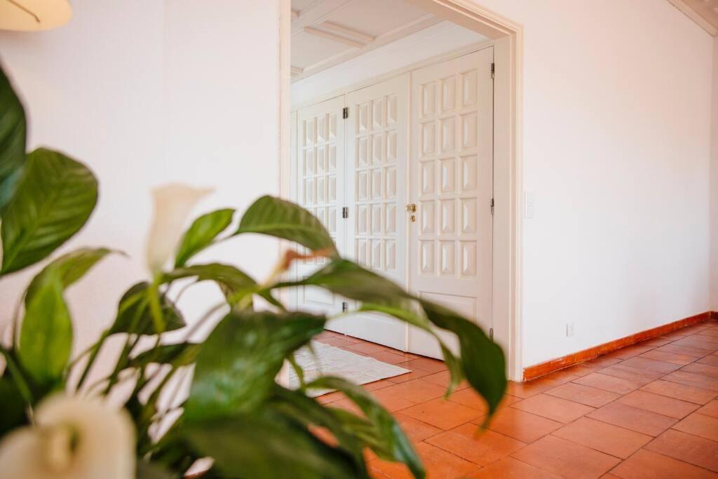 Penthouse S.Jorge Seaview T4 Apartment Quarteira Exterior photo